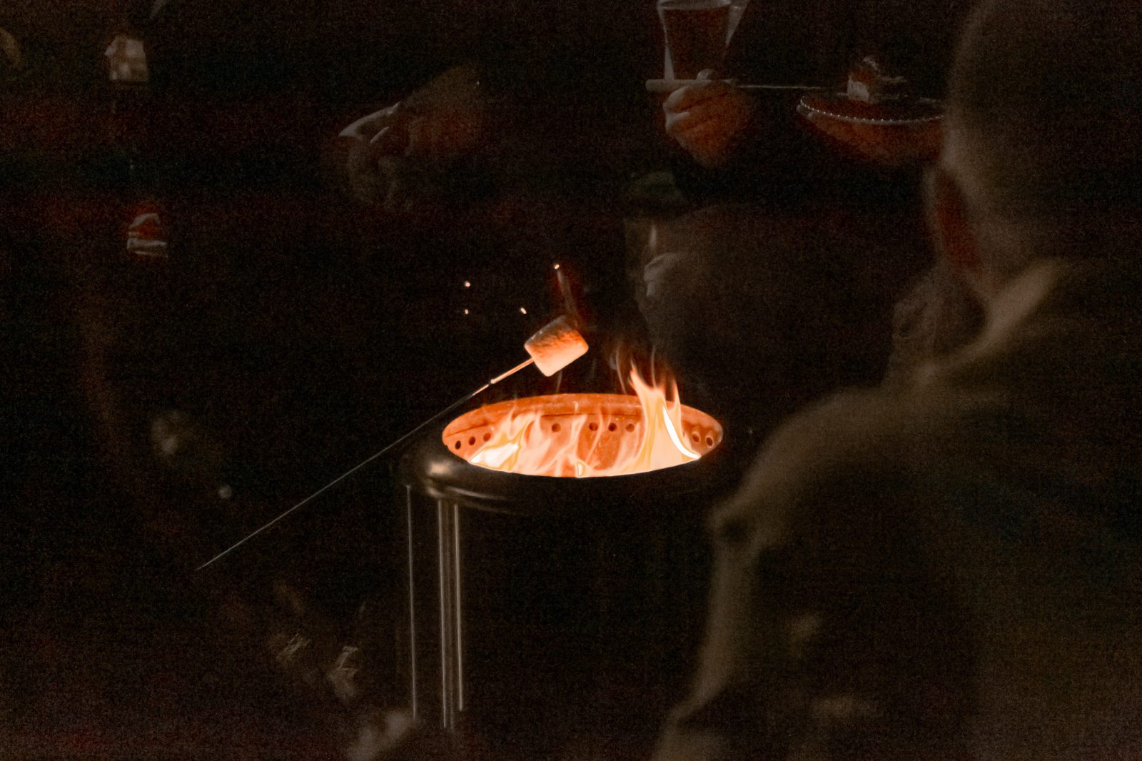 Toasting marshmallows over the fire pit